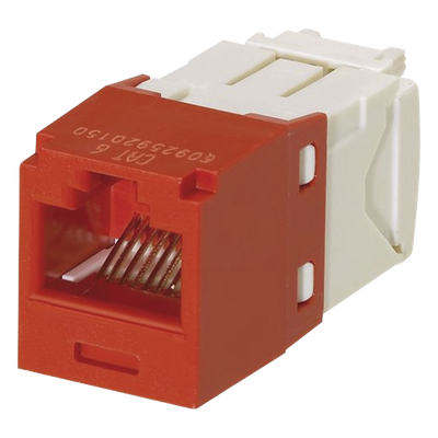 Jack RJ45 / Cat 6 / Sin herramienta de impacto / 8P8C / 22-26 AWG / Color rojo